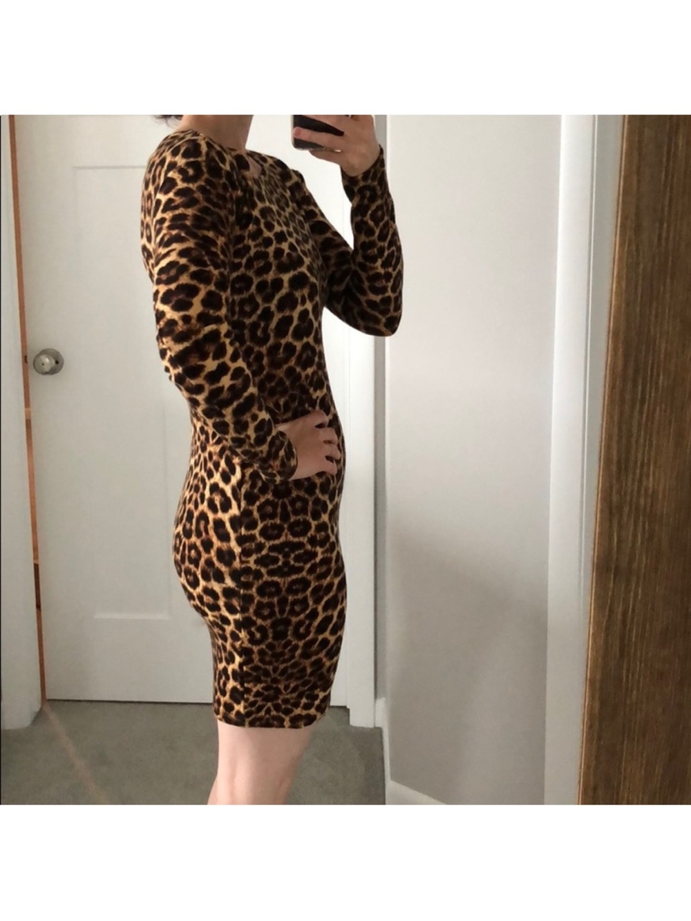 Leopard Print Long Sleeve Dress - Brown & Black - Picture 3 of 7